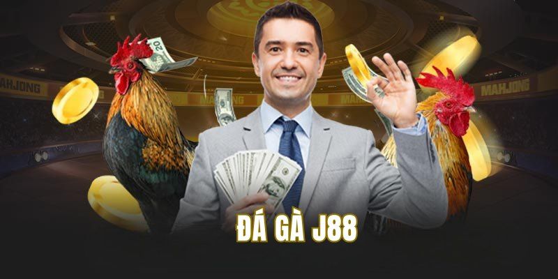 Khám phá chi tiết về sân chơi đá gà J88